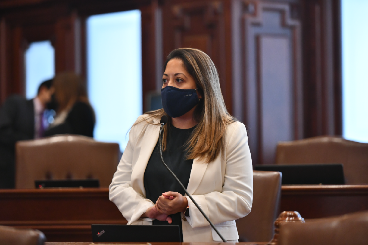 Senadora Villanueva