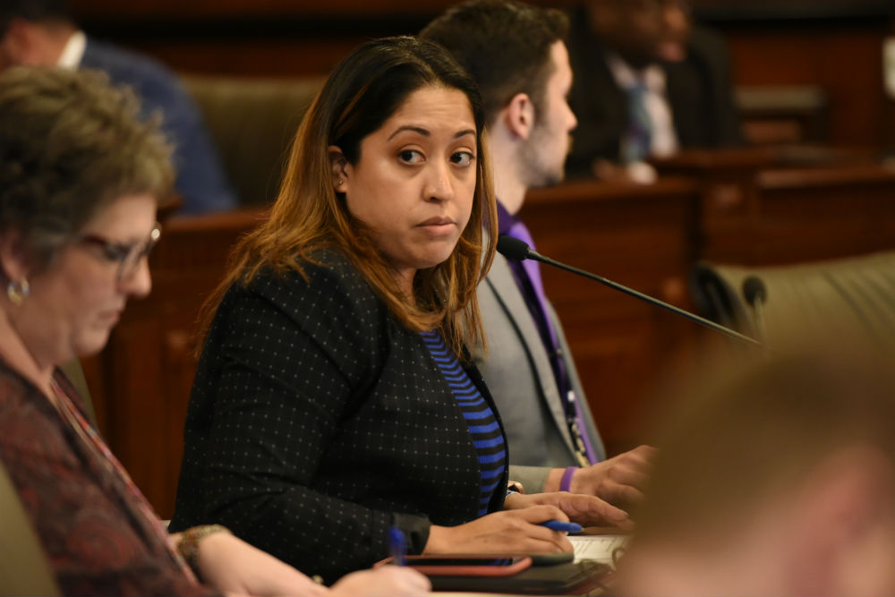 Senadora Villanueva