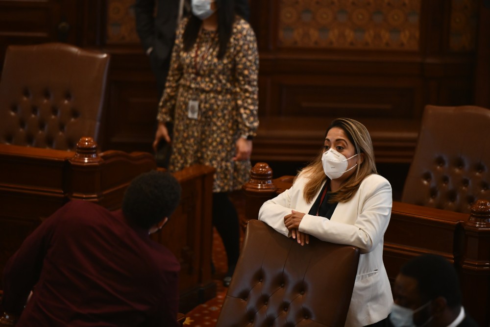 Senadora Villanueva