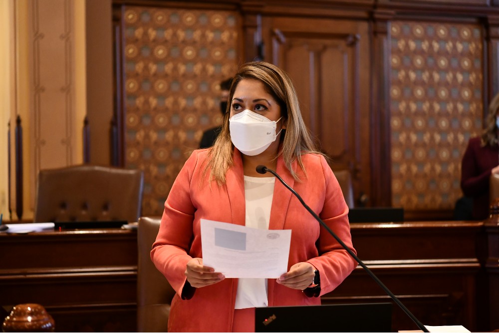 Senadora Villanueva