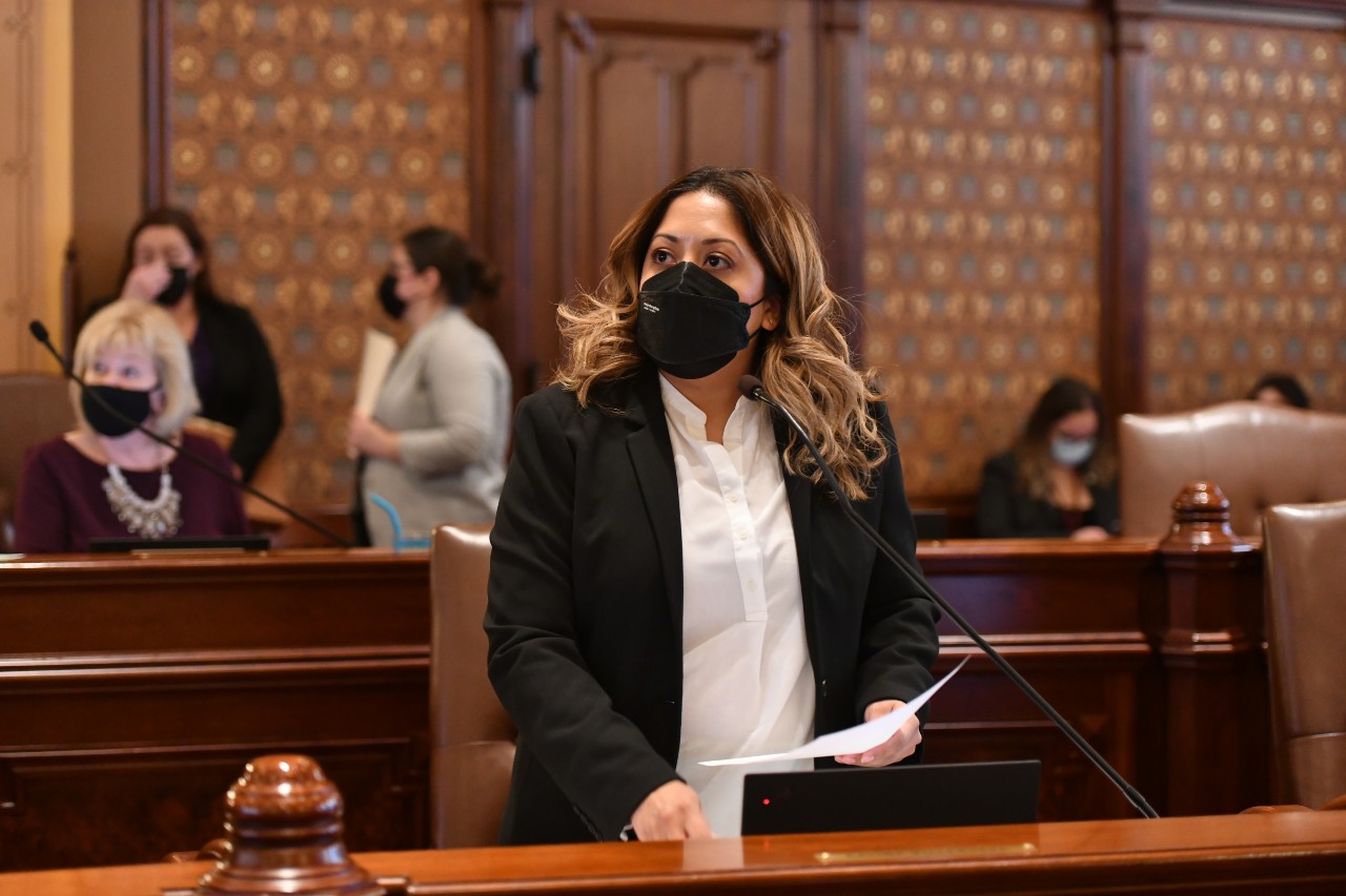 La Senadora Villanueva en el Senado