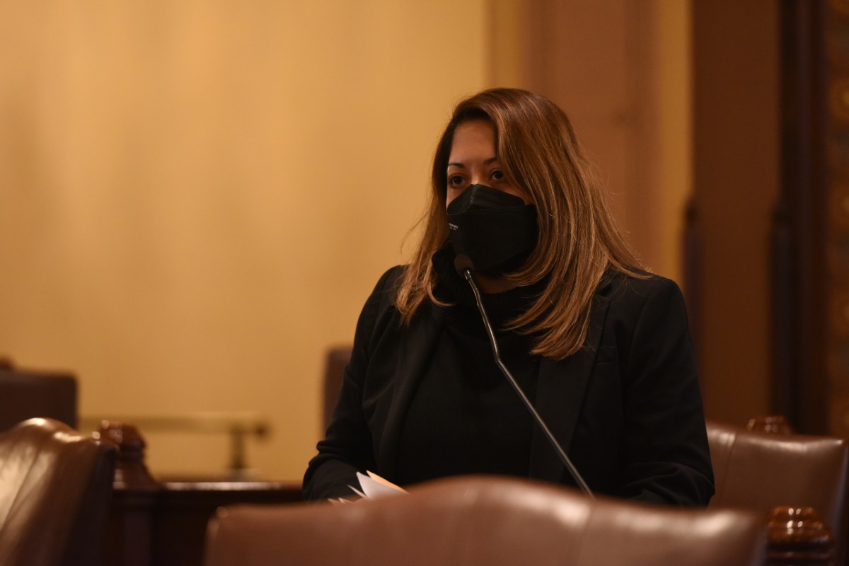 La Senadora Villanueva en el Senado