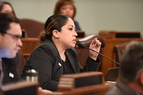 Senadora Villanueva